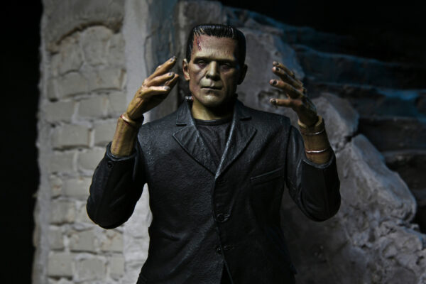 NECA Universal Monsters Ultimate Frankenstein's Monster (Colour)